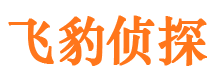 山丹市调查公司